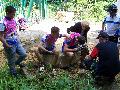gal/Saison 2012/Championnat_Lorraine_Cadets_Juniors_VTT_Boust_2012/_thb_100_5580.JPG